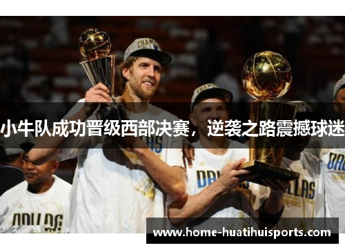 小牛队成功晋级西部决赛，逆袭之路震撼球迷